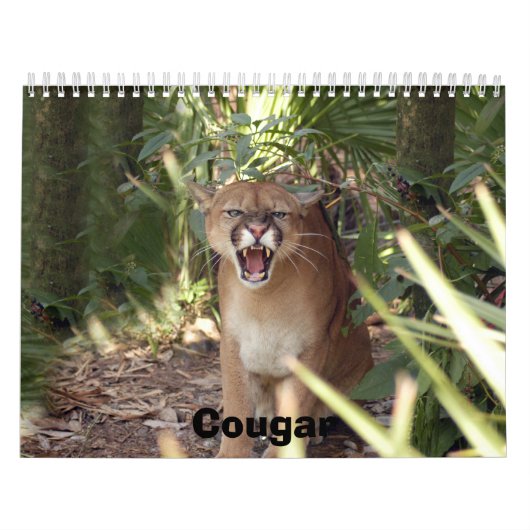 Calendrier Mural Puma 001, puma (Protection)