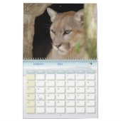 Calendrier Mural Puma 001, puma (Jan 2026)