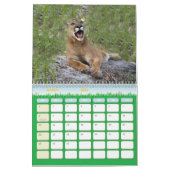 Calendrier Mural Puma 001, puma (Mar 2026)