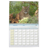 Calendrier Mural Puma 001, puma (Feb 2026)