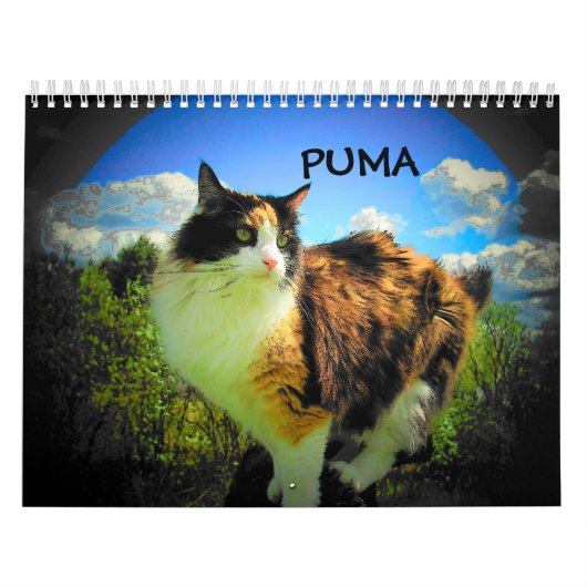 Calendrier Mural Puma, mon calicot de mannequin vedette (Protection)