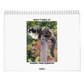 Calendrier Mural Puma, mon calicot de mannequin vedette (Dos)