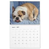 Calendrier Mural Pumbaa (Mar 2027)