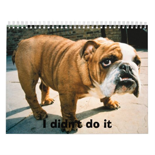 Calendrier Mural Pups BullDog (Protection)