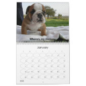 Calendrier Mural Pups BullDog (Jan 2026)