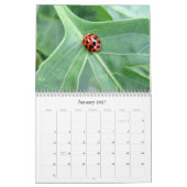 Calendrier Mural Qu'est-ce que vous buggin' You - Insect Calendar E (Jan 2027)