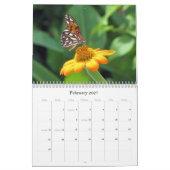 Calendrier Mural Qu'est-ce que vous buggin' You - Insect Calendar E (Feb 2027)