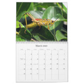 Calendrier Mural Qu'est-ce que vous buggin' You - Insect Calendar E (Mar 2026)