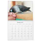 Calendrier Mural Quotidien je t'aime (Jan 2027)