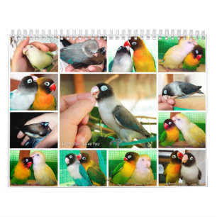 Calendrier Mural Quotidien je t'aime