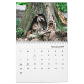 Calendrier mural Raccoons (Feb 2027)