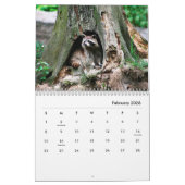 Calendrier mural Raccoons (Feb 2026)