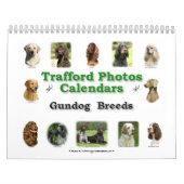 Calendrier Mural Races de chien de chasse (Protection)