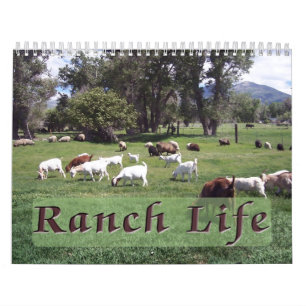 Calendrier Mural Ranch Life at the Blackman Ranch