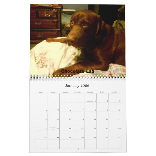Calendrier Mural Récupérateurs Labrador (Jan 2026)