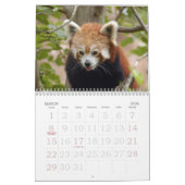 Calendrier Mural red-panda-005, panda rouge (Mar 2026)