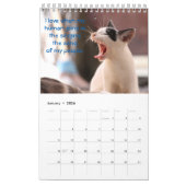 Calendrier Mural Réflexions sur les chats (Jan 2026)