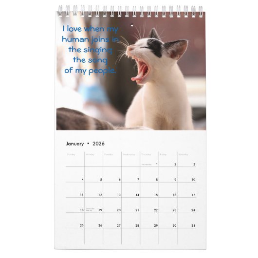 Calendrier Mural Réflexions sur les chats (Jan 2026)