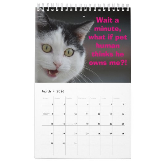 Calendrier Mural Réflexions sur les chats (Mar 2026)