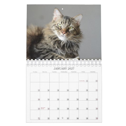 Calendrier Mural Regardez ce que le chat a apporté dans le (Jan 2027)