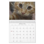 Calendrier Mural Regardez ce que le chat a apporté dans le (Mar 2026)