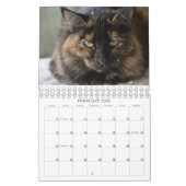 Calendrier Mural Regardez ce que le chat a apporté dans le (Feb 2026)