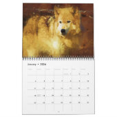 Calendrier Mural Retour du loup gris (Jan 2026)