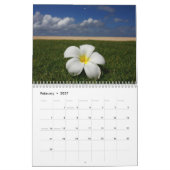 Calendrier Mural Rêves de Balinese (Feb 2027)