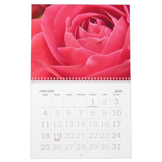 Calendrier mural rose Grande impression (Jan 2026)