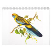 Calendrier Mural Rosella jaune (Protection)