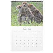 Calendrier Mural safari photographique africain 2025 (Jan 2026)