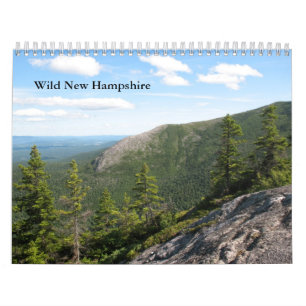Calendrier mural sauvage standard de 2013 New