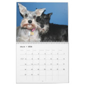 Calendrier Mural Schnauzers (Mar 2026)
