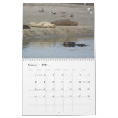 Calendrier Mural Sea Otter Mom and Pup Calendar #1 (Feb 2026)