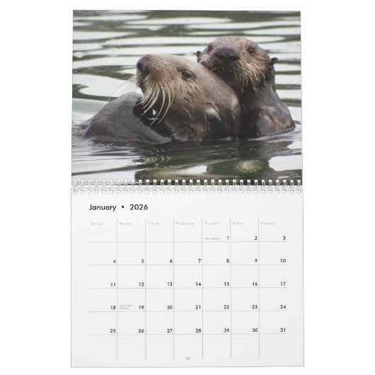 Calendrier Mural Sea Otter Mom and Pup Calendar #1 (Jan 2026)