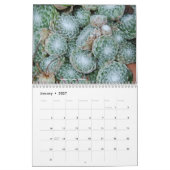 Calendrier Mural Sempervivum et Jovibarba (Jan 2027)