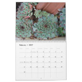 Calendrier Mural Sempervivum et Jovibarba (Feb 2027)