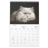 Calendrier Mural Sepia Kitty Chats pour animaux de compagnie Lover  (Mar 2027)
