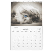 Calendrier Mural Sepia Kitty Chats pour animaux de compagnie Lover  (Jan 2027)