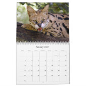 Calendrier Mural serval 025, Serval (Jan 2027)