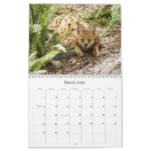 Calendrier Mural serval 025, Serval (Mar 2026)