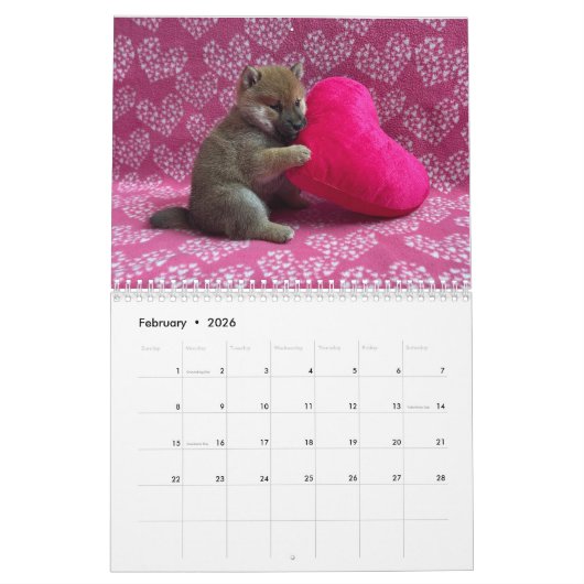 Calendrier mural Shiba PuppyCam 2023 (Feb 2026)