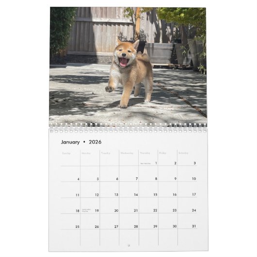 Calendrier mural Shiba PuppyCam 2023 (Jan 2026)