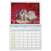 Calendrier Mural Shih Tzu (Jan 2027)