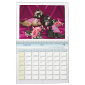 Calendrier Mural Shih Tzu (Feb 2027)