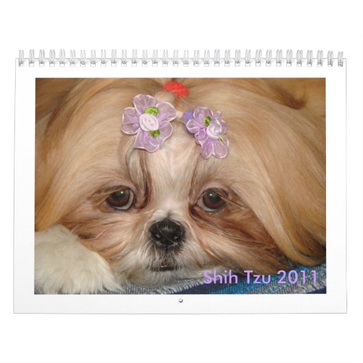 Calendrier Mural Shih Tzu (Protection)