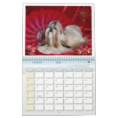 Calendrier Mural Shih Tzu (Jan 2026)