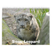 Calendrier Mural SnowLeopardBCR012, léopard de neige (Protection)