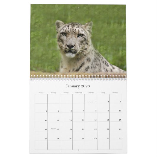 Calendrier Mural SnowLeopardBCR012, léopard de neige (Jan 2026)
