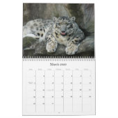Calendrier Mural SnowLeopardBCR012, léopard de neige (Mar 2026)